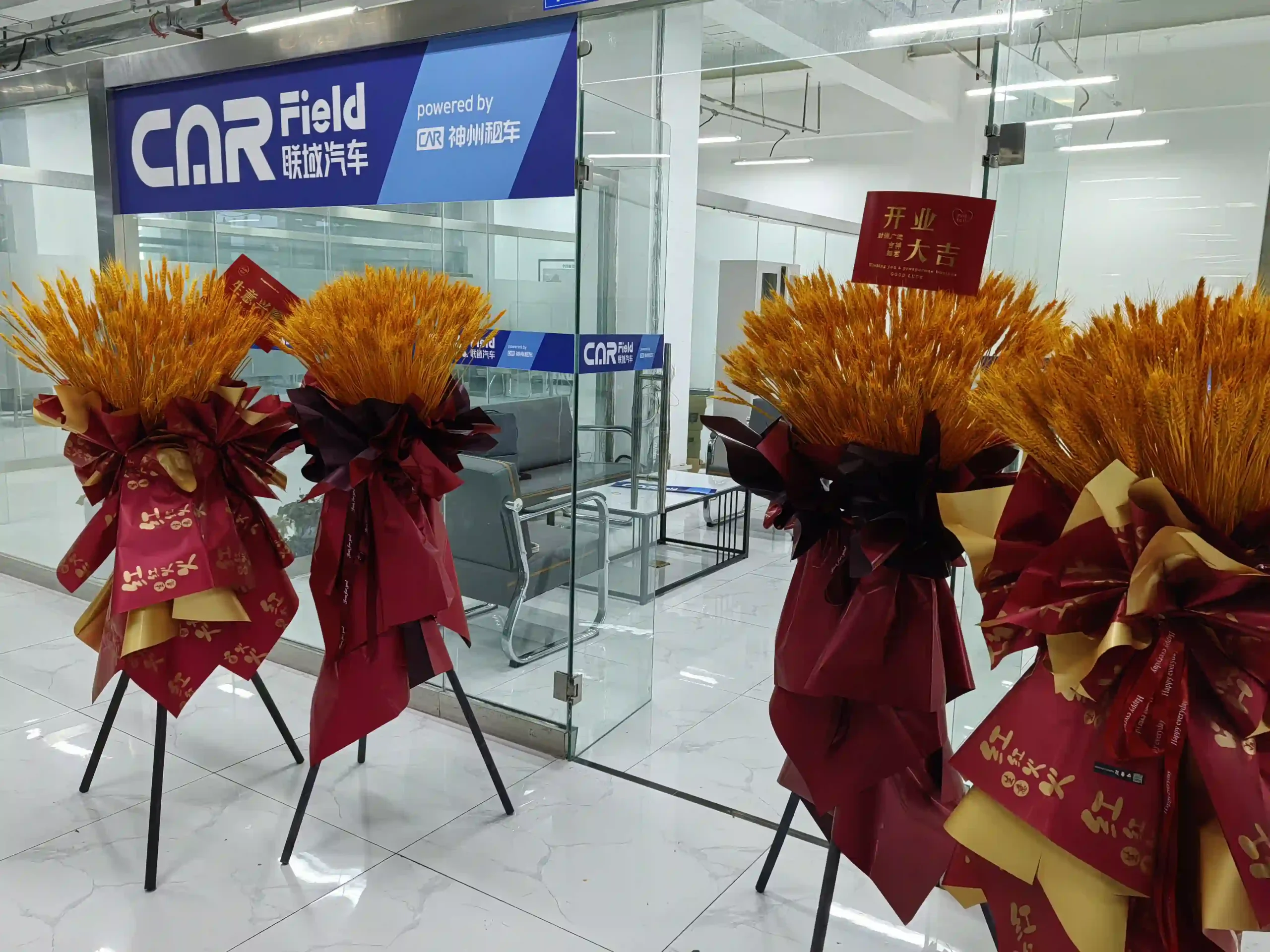 Car Field Used Cars Office