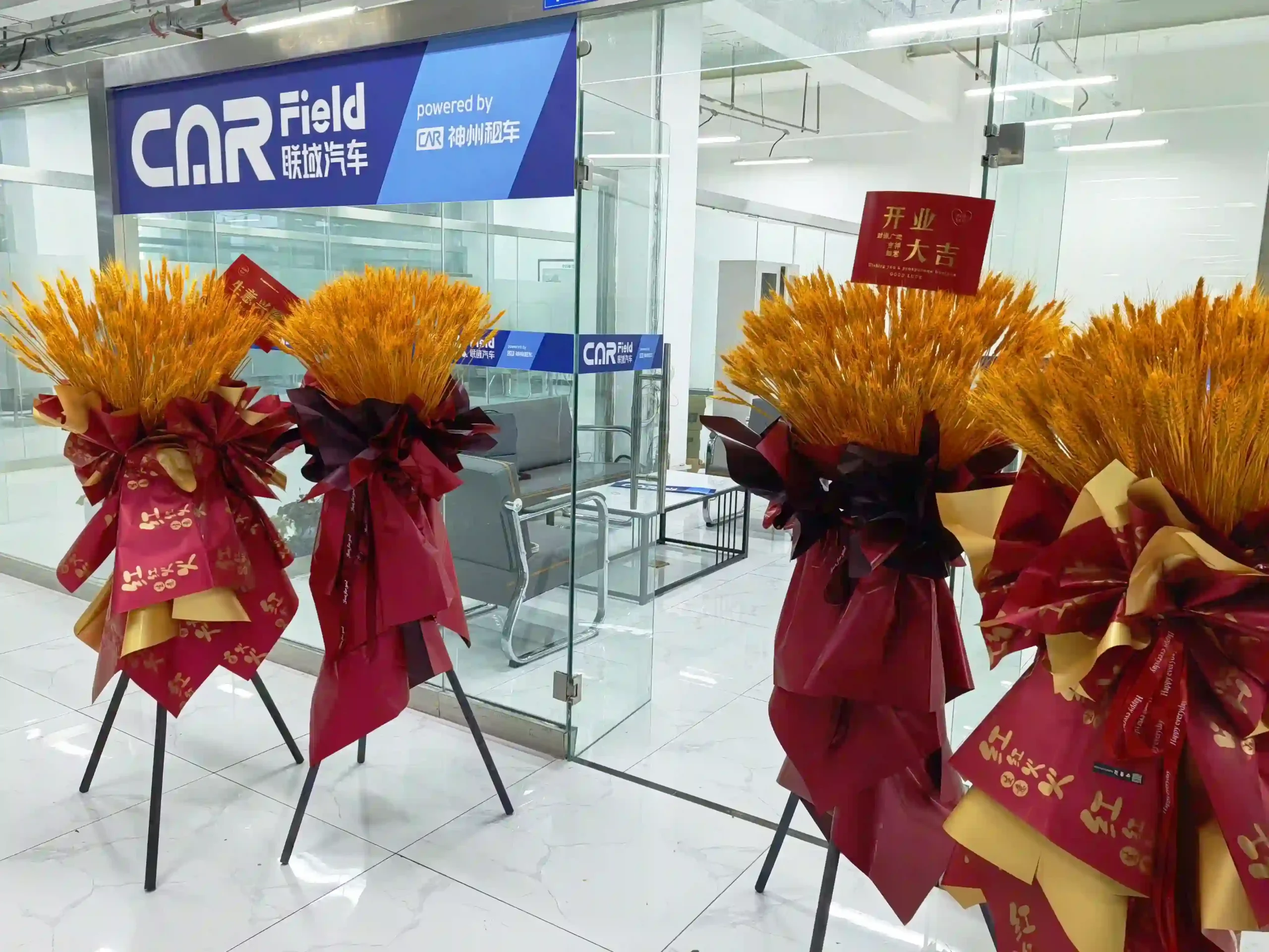 China used car Showroom in Horgos